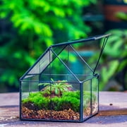 NCYP Mini House-Shaped Glass Terrarium with Lid, 4.25 Small Lidded Plant Terrarium for Moss, Tiny Plants, Low-Growing Sundew Plants and Tabletop Décor (Terrarium Only)