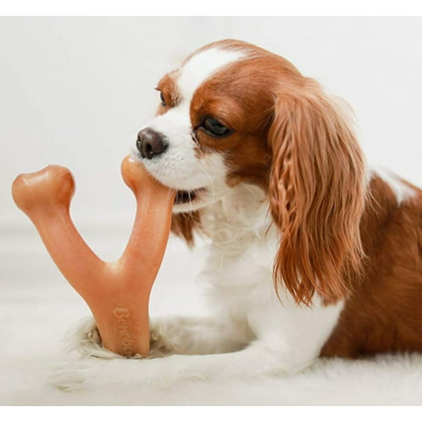 Benebone walmart best sale