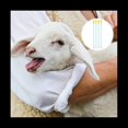 thumbnail image 5 of 50 Tubos de InseminacióN Artificial de 7,9 Pulgadas para Equipo de CríA de Apareamiento de HibridacióN Desechable para Perros, 5 of 5