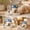 Blue, variant on Cottage Style Pet Feeder Water Dispenser Food Storage Sealed Auto Refill for Cats Dogs Small Pets Indoor Feeding Station Cute Decor