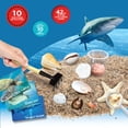 thumbnail image 4 of Discovery Exploring Oceans Identification & Exploration Activity Kit, 4 of 7