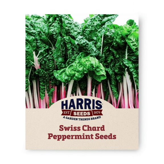 Harris Seeds - Non-GMO Swiss Chard Peppermint Seed for Planting - 50 Seeds