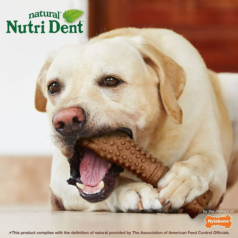 Nylabone nutri dent filet mignon small hotsell