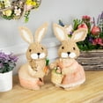 thumbnail image 3 of Northlight Plush Boy Easter Rabbit Figurine with Carrots - 11", 3 of 6