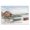 Rowboats Shore Waterfront, variant on Stupell Industries Contemporary Ferry Boat Sunlit Sea Harbor Gray Floating Frame Canvas Art, 21 x 17, by Jeff Pica