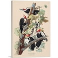 thumbnail image 1 of ARTCANVAS Pileated Woodpecker Canvas Art Print by John James Audubon - Size: 26" x 18" (1.50" Deep), 1 of 9