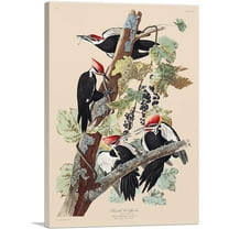 ARTCANVAS Pileated Woodpecker Canvas Art Print by John James Audubon - Size: 26" x 18" (0.75" Deep)