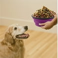 thumbnail image 3 of Tazones Grandes Plegables para Perro, Tazones de Agua de Viaje Portátiles y Plegables de 34 Oz, Platos de Comida con Mosquetón para Viajar, Hacer Senderismo, Caminar, Paquete de 2 (Morado+verde), 3 of 8