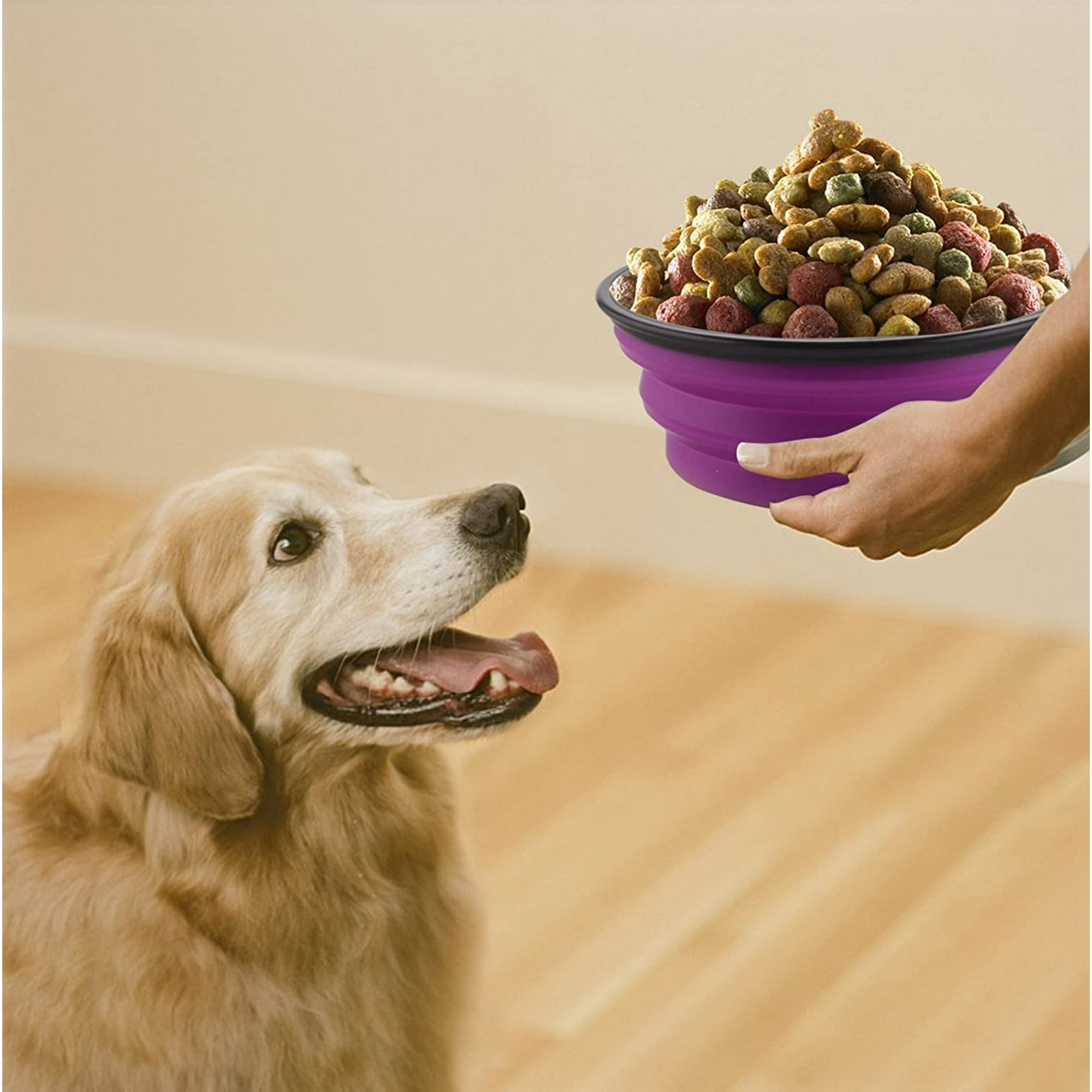 Dog food and water travel kit 2025