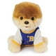 thumbnail image 1 of Chaqueta universitaria de peluche GUND Boo, el perro más lindo del mundo, 23 cm, 1 of 5