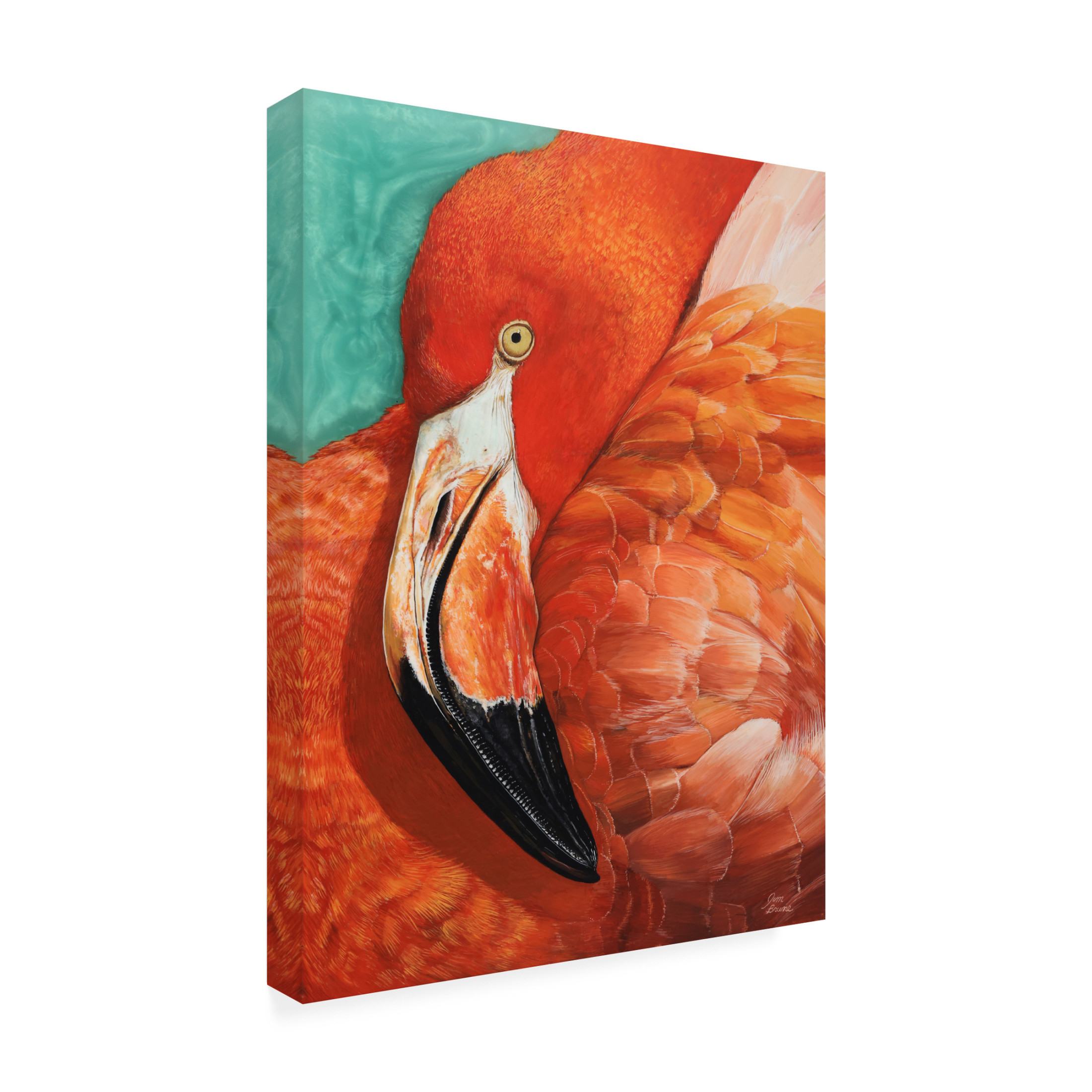 Canvas Wall Art - Jim Brune 'Graceful Pink Flamingo' Wall Art for Living Room, Bedroom, or Office Décor by Trademark Fine Art - 24 x 32 Inches