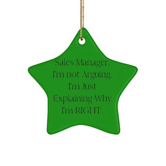 Beautiful Sales Manager Gifts, Sales Manager. I'm not Arguing. I'm Just Explaining Why I'm., Gag Christmas Star Ornament from Colleagues