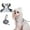 Gray, variant on Newborn Dog Lift Harness for Large Dogs - Full Body Dog Sling Carrier with Adjustable Straps & Control Handle,Breathable Support Backpack