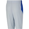 thumbnail image 2 of Puma Mens Training Regular Fit Shorts, 2 of 2