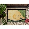thumbnail image 3 of Carolines Treasures SS8864JMAT 24 x 36 in. Golden Retriever Doormat, 3 of 4