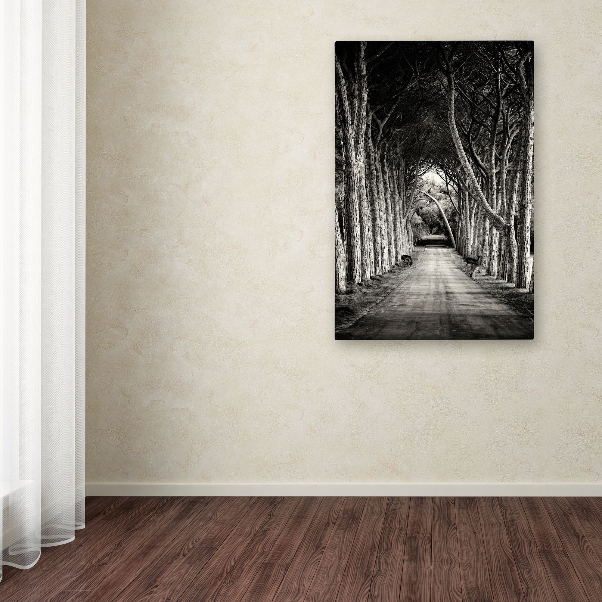 Sandra 'Path' Canvas Art