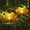 Red, variant on Waitmin Amber LED Solar Garden Lights - Garden Decoration Waterproof Crackle Globe Design 2 Pack