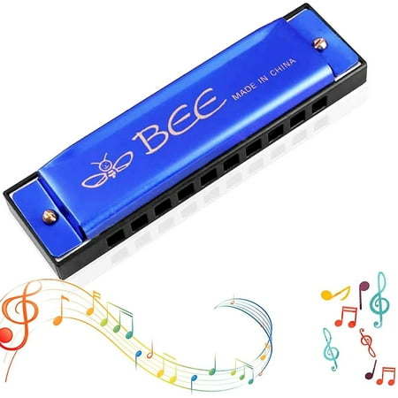 Harmonica Diatonique Folkmaster 1072 - 10 Trous, Clé De Ré (D) - Pour Débutants, Son Clair - Cadeau Musique