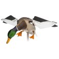 thumbnail image 3 of Avian X Powerflight Mallard Spinning Wing Duck Motion Decoy, Multicolor, 1 Pack, 3 of 12