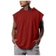 thumbnail image 1 of Blusa de Color Sólido de los Hombres, Moda Casual sin Mangas Sudadera con Capucha para Uso Al Aire Libre Y Diario, Cuello Redondo Atlético Top, 1 of 5