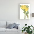 thumbnail image 3 of Trademark Fine Art 'Curtis Tulips II' Canvas Art by Curtis, 3 of 3