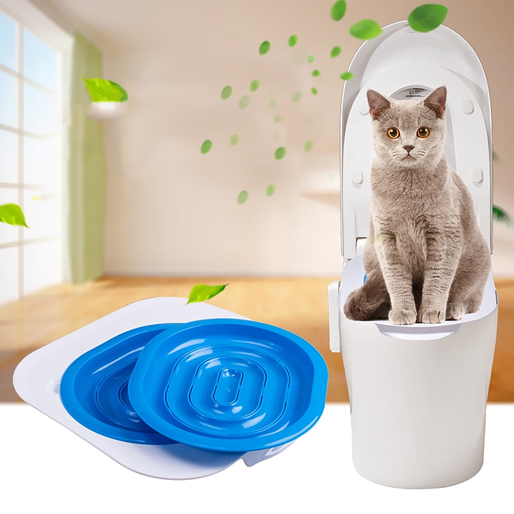 how to teach your cat to use the toilet