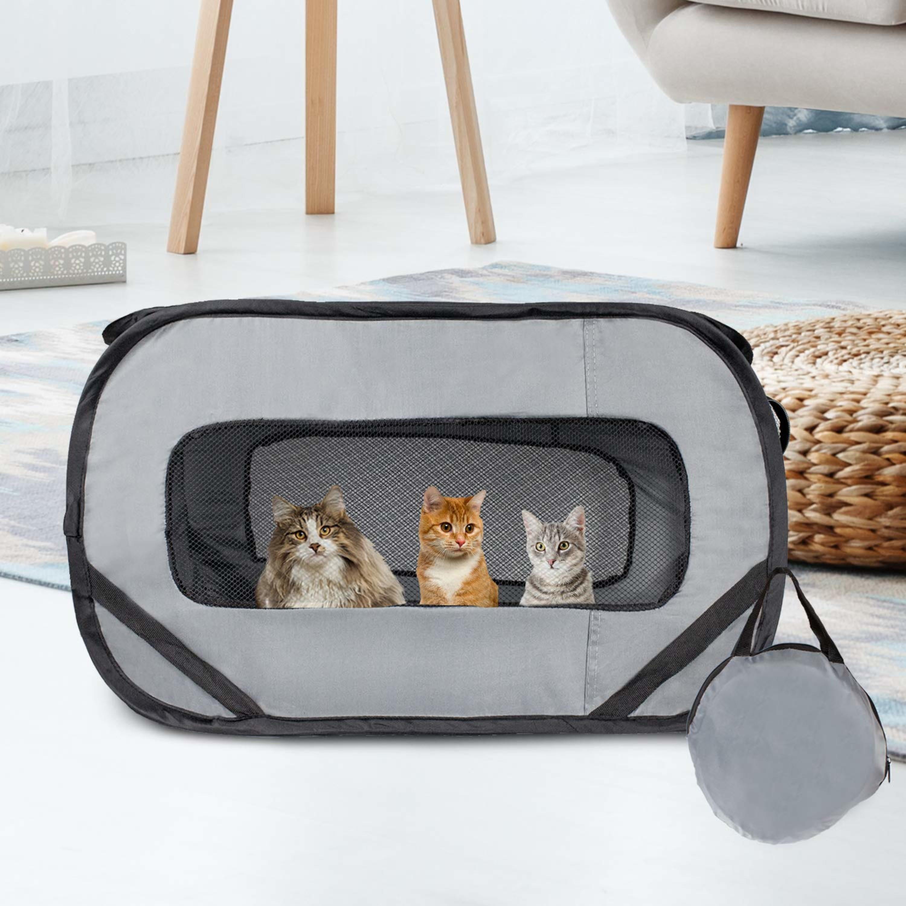Downtown Pet Supply Pet Carriers for Cats and Dogs, Collapsible Dog Carrier, Giant