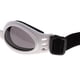thumbnail image 5 of Gafas de seguridad para perros Gafas de sol a prueba de viento Gafas impermeables para perros con Blanco jinwen Gafas de sol de cachorro de perro mascota, 5 of 8