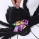 thumbnail image 4 of Mochila De Araña Disfraz Araña Colorida Divertida 8 Patas De Araña Mochila De Araña De Felpa De Terror, 4 of 4