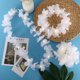 thumbnail image 3 of Leis LED hawaianos Garland Sherr, 48 unidades, con iluminación blanca, 3 of 7