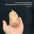 thumbnail image 4 of Muyoka Siline Animals Pig Doll High Simulation Mini Siline Piglet BPA-free Siline Realistic Toy Pig para accesorios de fotografía Lechón realista para niños Adultos Regalo Muyoka Hogar, 4 of 6