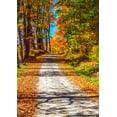 thumbnail image 2 of Gulin, Sylvia 18x24 Gold Ornate Wood Framed with Double Matting Museum Art Print Titled - USA-New England-Vermont gravel road lined with sugar maple in full Fall color, 2 of 4