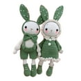 thumbnail image 2 of serony Crochet Kit for Beginner Cute Rabbits Includes Yarn Hook Accessories Green, 2 of 9