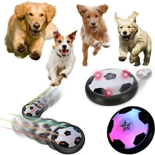 PAUK Interactive Dog Toys Motion Activated Rolling Ball for Dogs Self  Moving Dog Toy/USB Rechargeable/Led Light