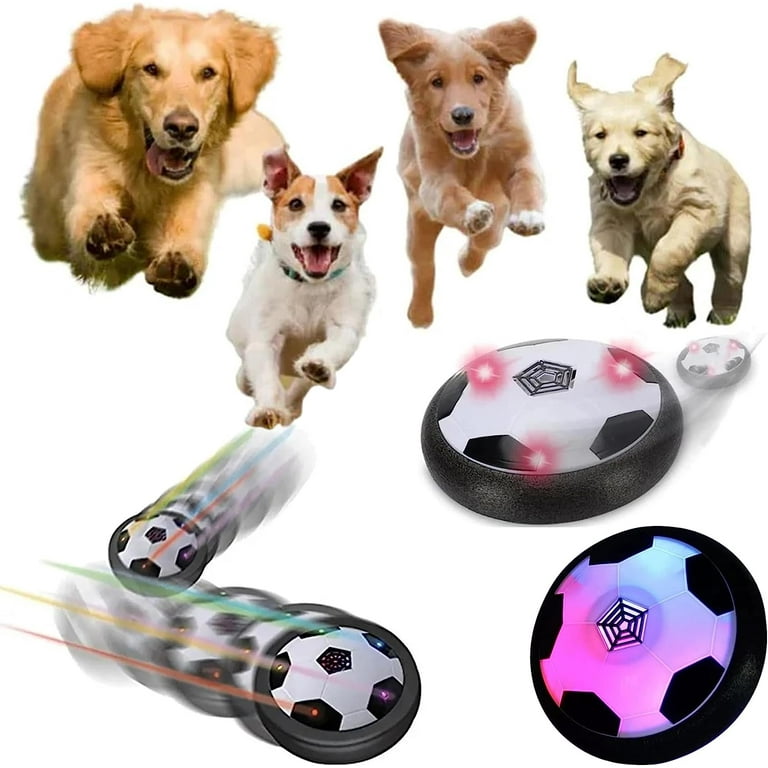 Active Gliding Disc Dog Toy With Cool