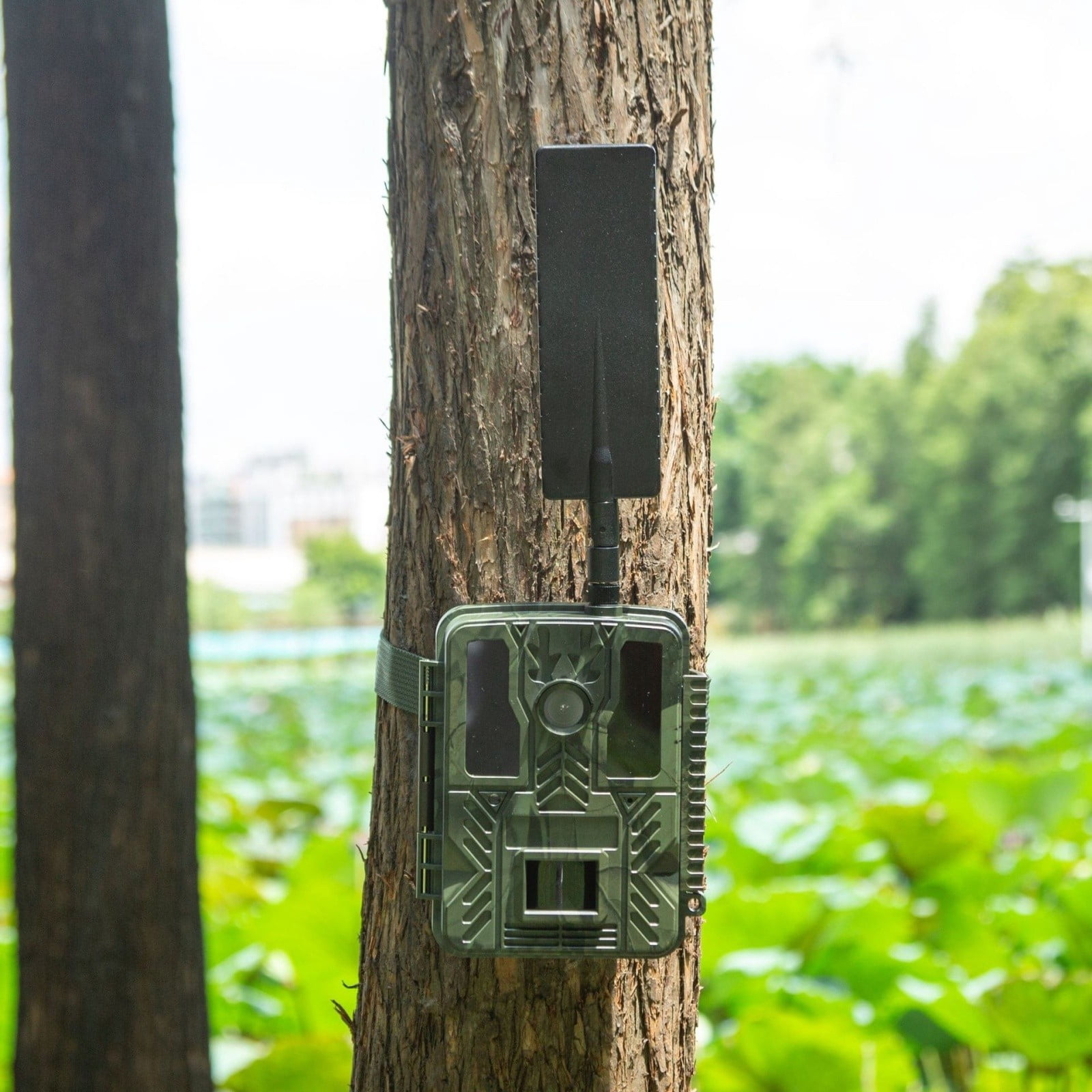 4G LTE Trail Camera with App Control, Motion Activated Infrared Night Vision Game Camera, Wireless Wildlife Camera with IP66 Waterproof for Outdoor Use