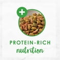 thumbnail image 3 of Purina Fancy Feast Dry Cat Food, Made with Ocean Fish & Salmon with Accents of Garden Greens, Gourmet Dry Cat Food for Adult Cats, 16 OZ Bag (Pack of 4), 3 of 7