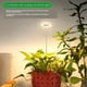 thumbnail image 4 of Lampara LED para Plantas en Interior Genérica HALO DE LUZ, 4 of 6