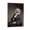 Frame-style, variant on Karl Marx Political Theorist Poster Print Photo Art Painting Canvas Poster Home Decorative Bedroom Modern Decor Posters Gifts 08x12inch(20x30cm)
