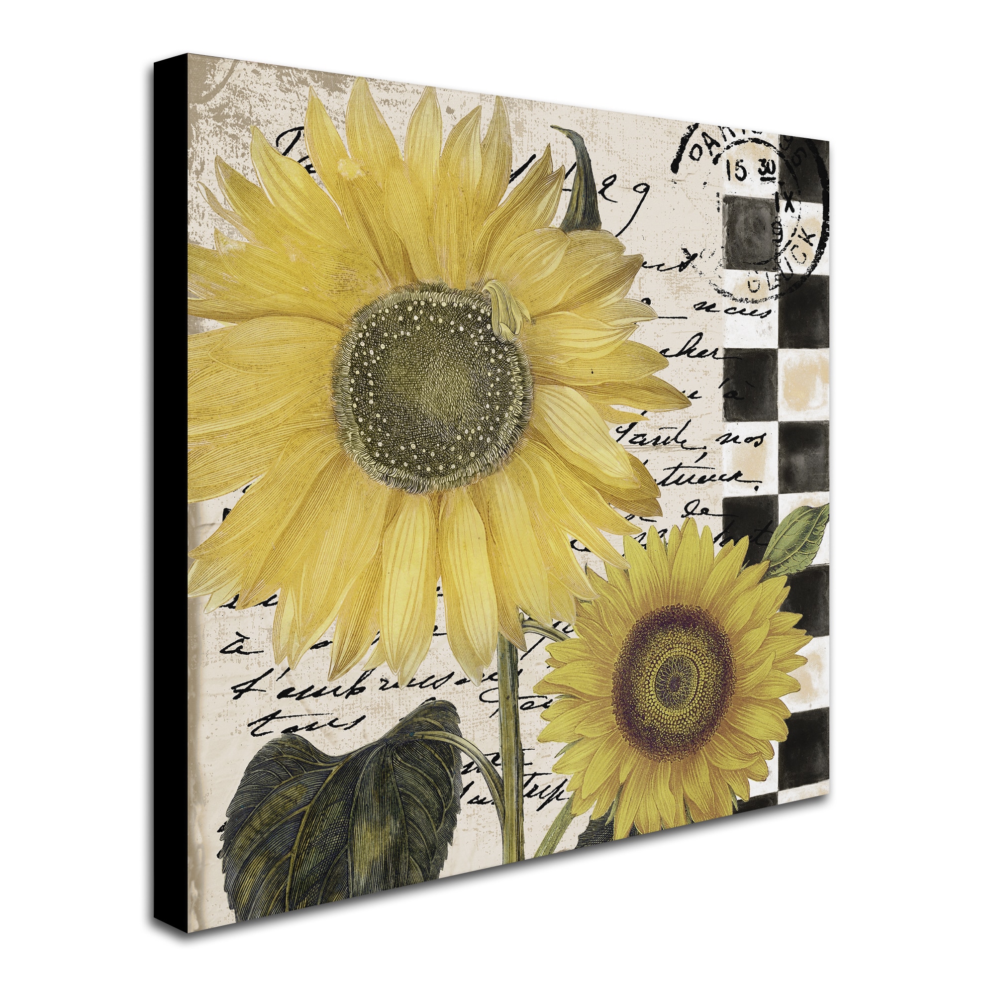 Trademark Fine Art "Late Summer I" Canvas Art by Color Bakery