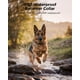 thumbnail image 5 of Collar de Adiestramiento Canino Blackdog Military para 2 Perros 2.5-68 kg Azul, 5 of 8
