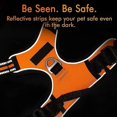 thumbnail image 5 of , Adjustable Soft Padded Dog Vest, No-choke Pet Vest - Snngv, 5 of 5