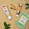 thumbnail image 2 of ($28 Value) Burt's Bees Skin Care Favorites Holiday Gift Set, 5 Products, 2 of 4