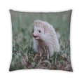 thumbnail image 2 of Ahgly Company Animals Hedgehog Indoor Throw Pillow, 18 inch by 18 inch, 2 of 6