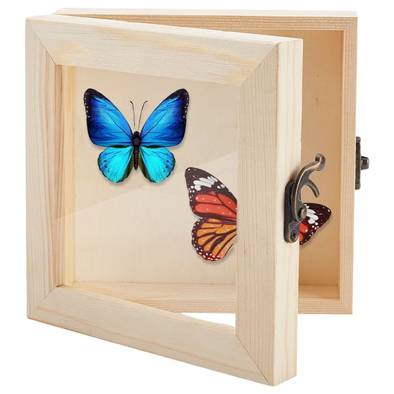 Insect Display Case Wooden Frame Butterfly Shadow Box with Clear Glass Top Insect Specimen Storage Box