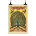 thumbnail image 2 of Print: Peacock Styles. Anchor Buggy Co., 1897, 2 of 4