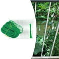 thumbnail image 3 of Bgsha Garden Trellis Netting Plant Support Pea Netting For Bean Fruits Climbing Plants, 3 of 10