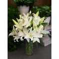 thumbnail image 2 of KaBloom : 10 White Lilies, Next-Day Delivery, Gift for Every Occasion., 2 of 5