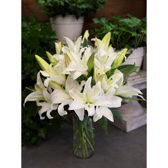 KaBloom : Bouquet of Fresh 20 Lilies and Lush Greens without Vase, Next-Day Delivery