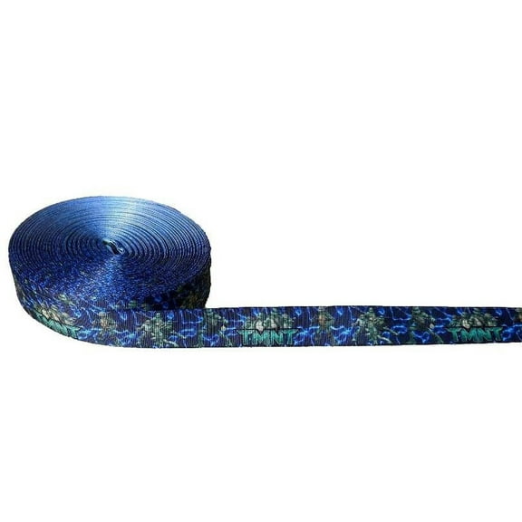 Teenage Mutant Ninja Turtles Group Blue Border 1" Wide 3 Yards Long Repeat Ribbon